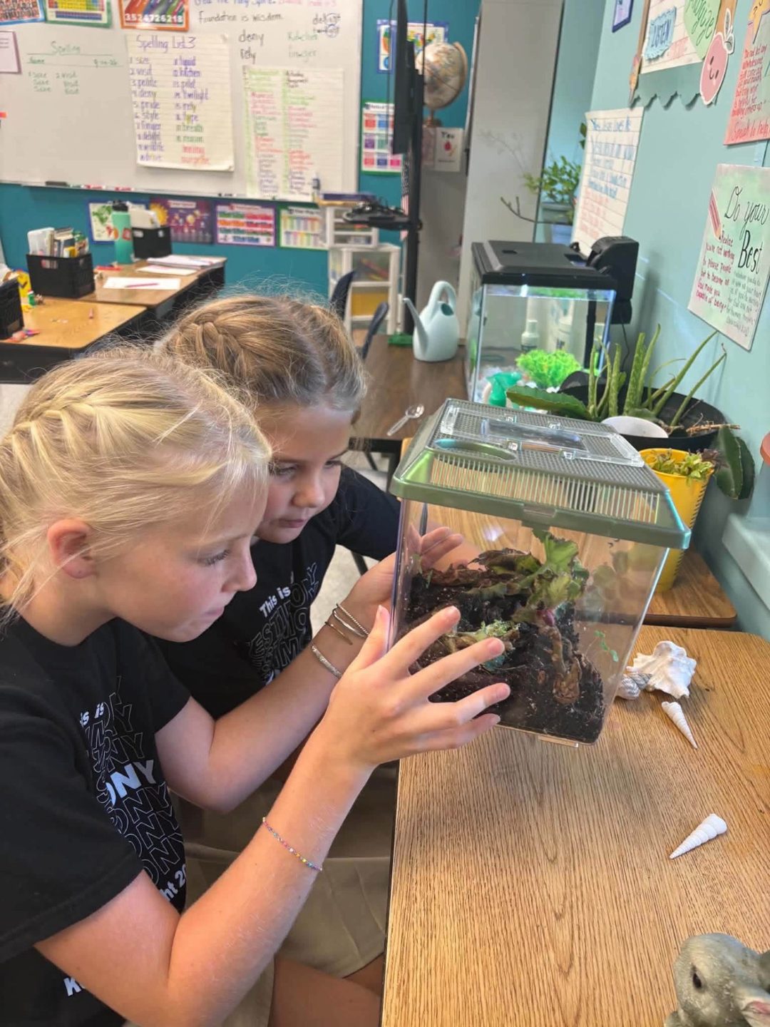KCA students observing a terrarium